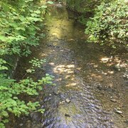 Le long du ruisseau Talent