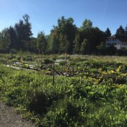 Jardins participatifs