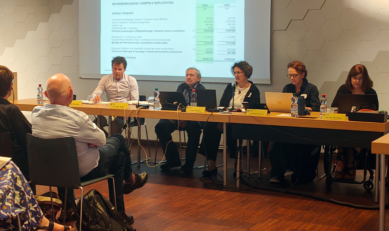 Vorstandsmitglieder von FRAGILE Suisse präsentieren die Jahresrechnung.