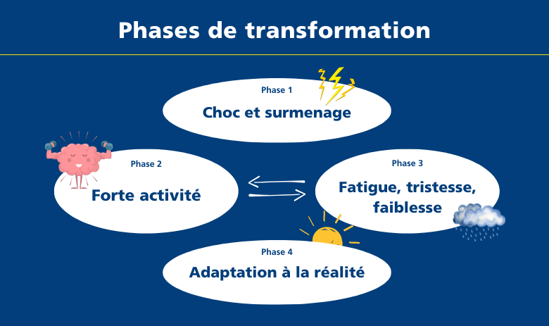 Quatres phases de transformation Quatre phases de transformation